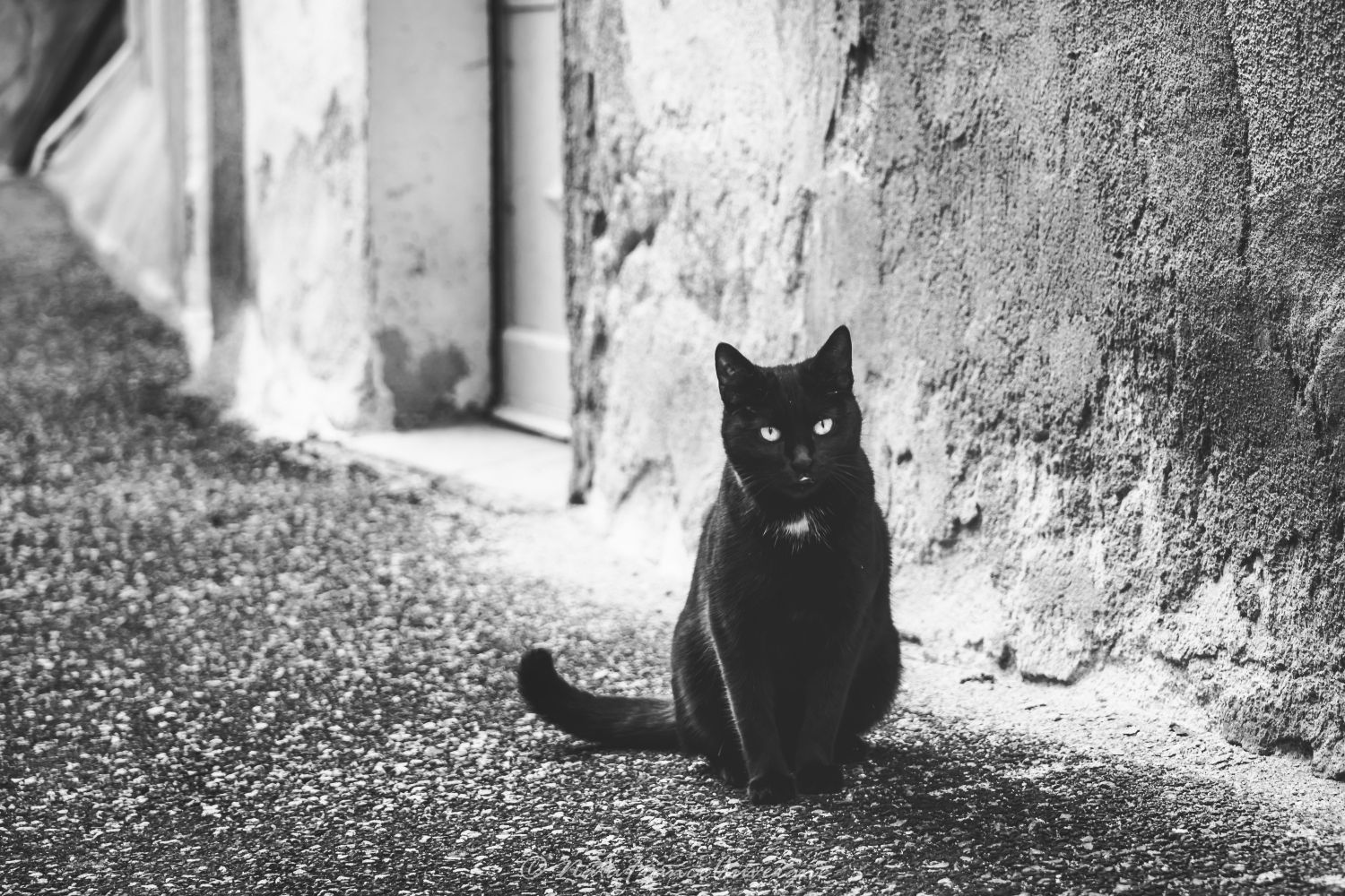 Le Puy en Velay fév 2024 by @NataFranceAuvergne-2588